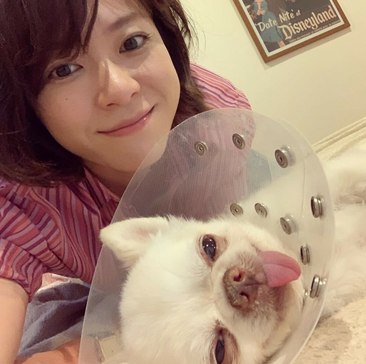 上野樹里 愛犬が手術終え 無事に帰ってきてくれました ファンから励ましの声続々 よく頑張ったね Coconuts