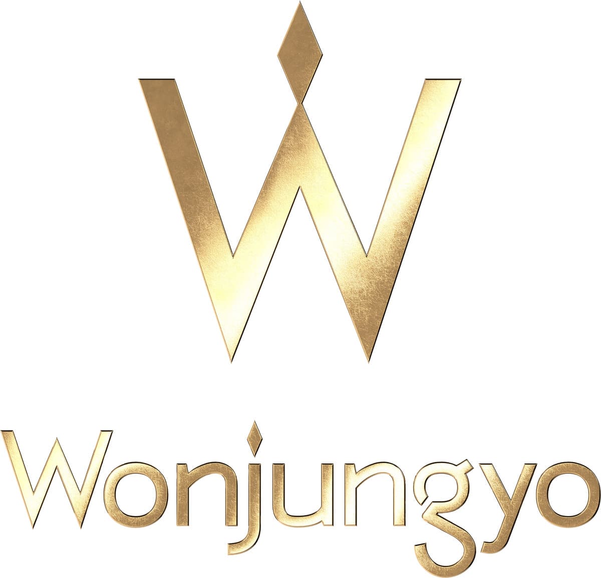 Wonjungyo Hair　新ビジュアル・ムービー